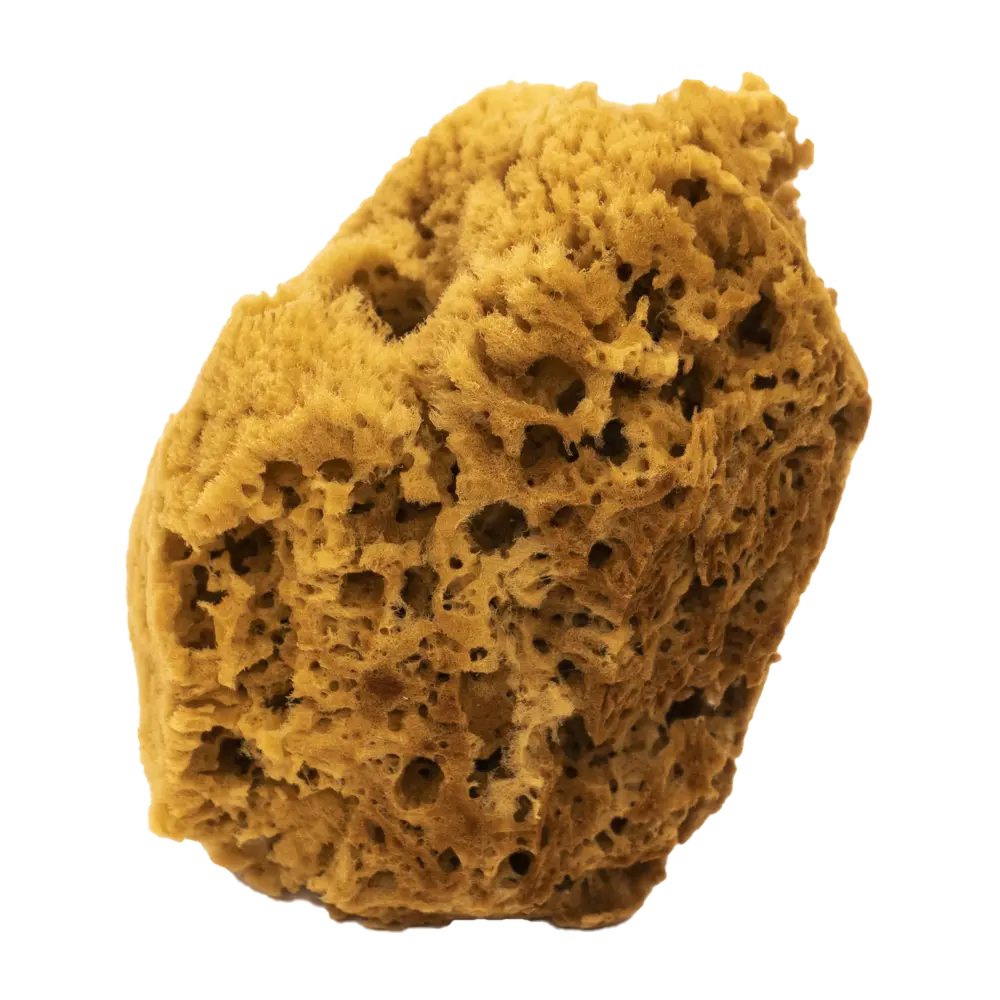 Натуральная морская губка Pentrilo для декоративной отделки 11387551 STLM-0001209 - Вид №1