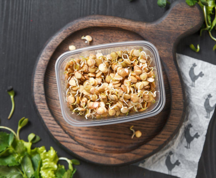 9713 Проростки чечевицы зеленой Вкусляндия 