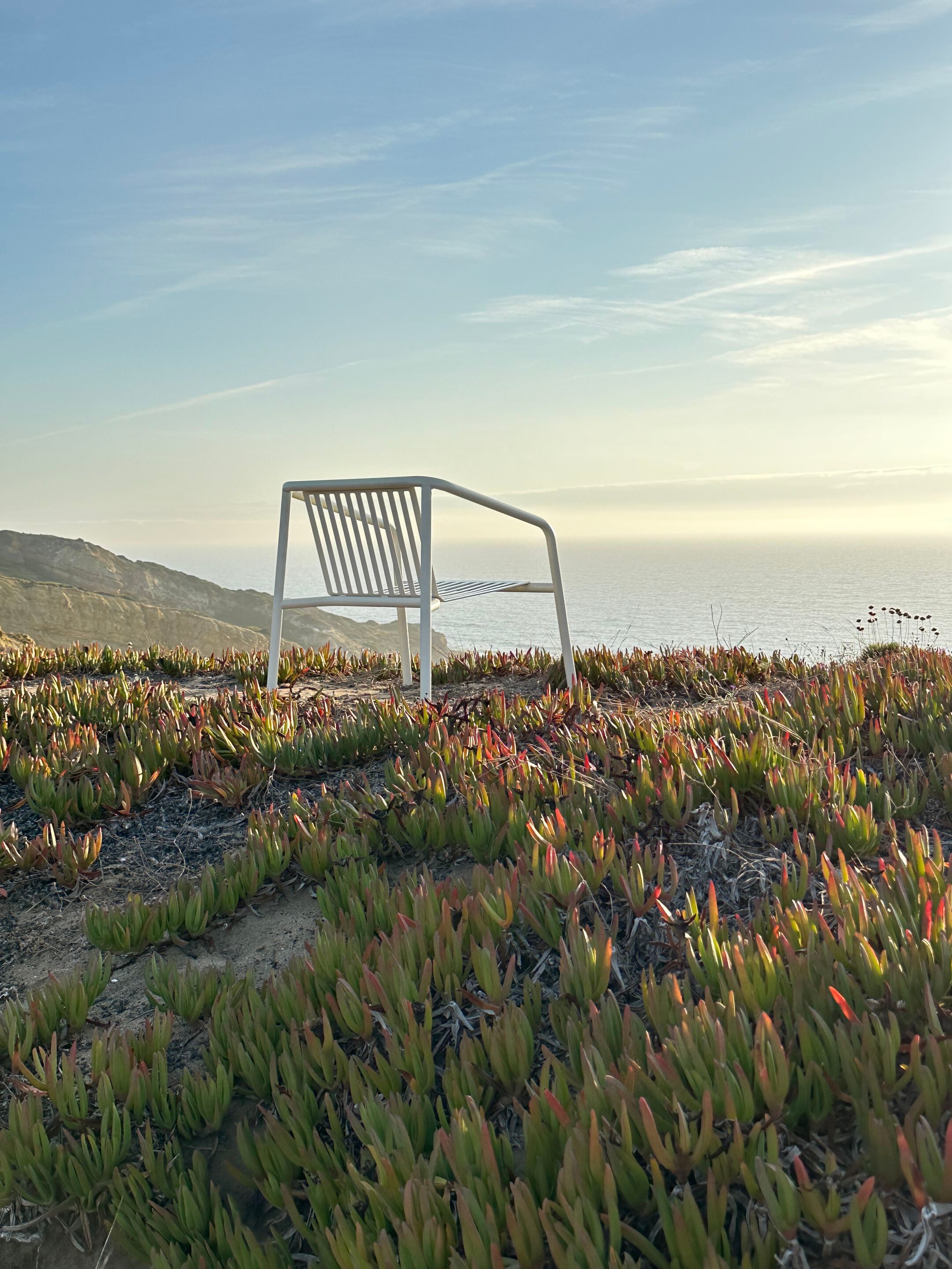 Алюминиевый садовый стул с подлокотниками Branca Lisboa Erva ARCH-00100316