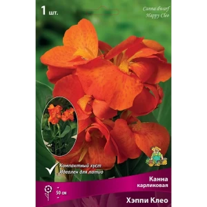 Калла Хэппи Клео луковица I 83598116 STLM-2107927