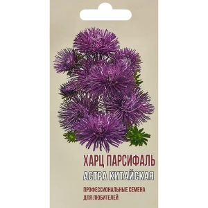 Астра китайская Харц Парсиваль 83601688 STLM-2154400