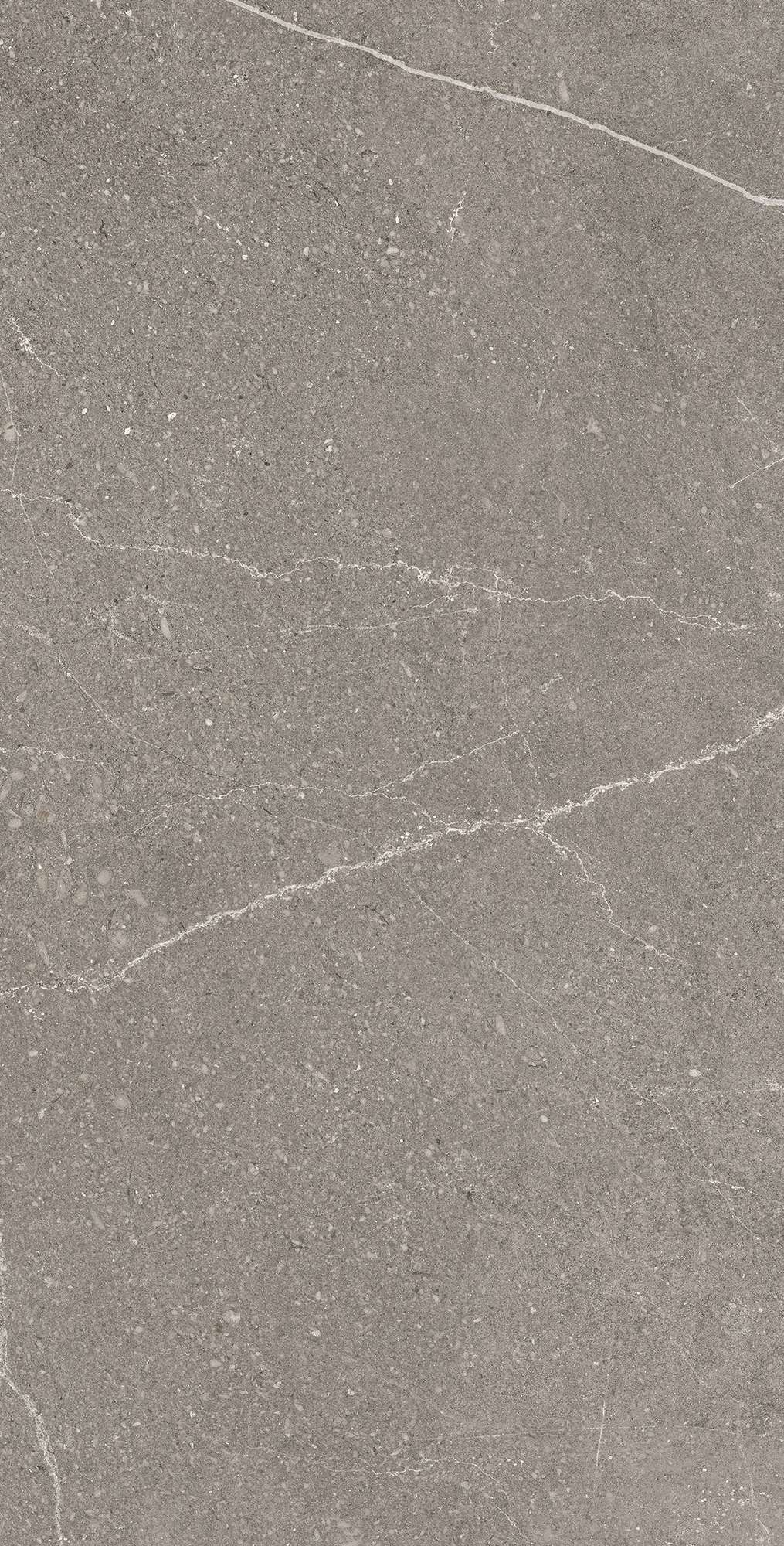 Графитовая элегантность EQUISTONE RG6002-A Arcadia Ceramica - Вид №3