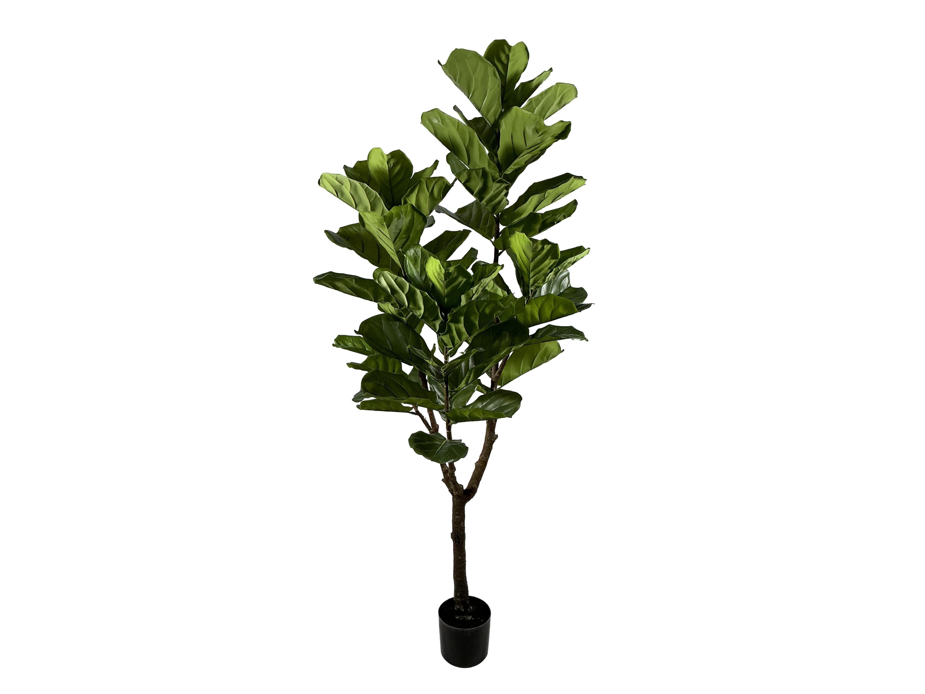 Искусственное растение BIZZOTTO FICUS LYRATA H180 ARCH-00025541