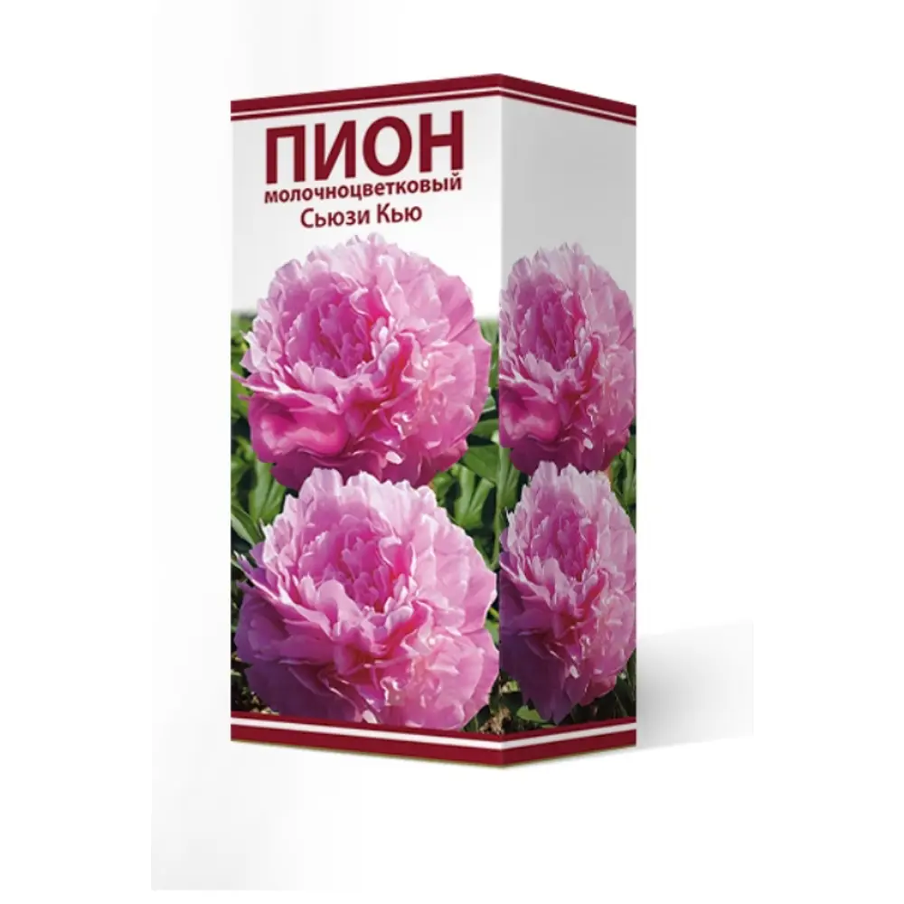 Пион травянистый Сьюзи Кью луковица 2-3 83600329 STLM-2137948 Santreyd 
