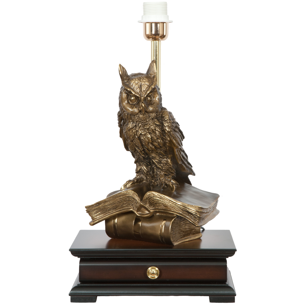 33006/1,34057 Настольная лампа с бюро Ученый Филин Тюссо Игуана Шоколад BOGACHO 4627138211540, 4627138151105 - Вид №3