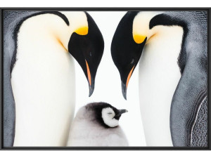 Печать фотографий на бумаге