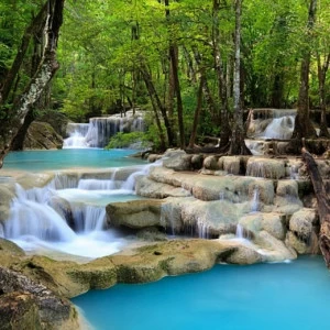 C1-016 Фотообои DIVINO Collection C 2.7х3 м