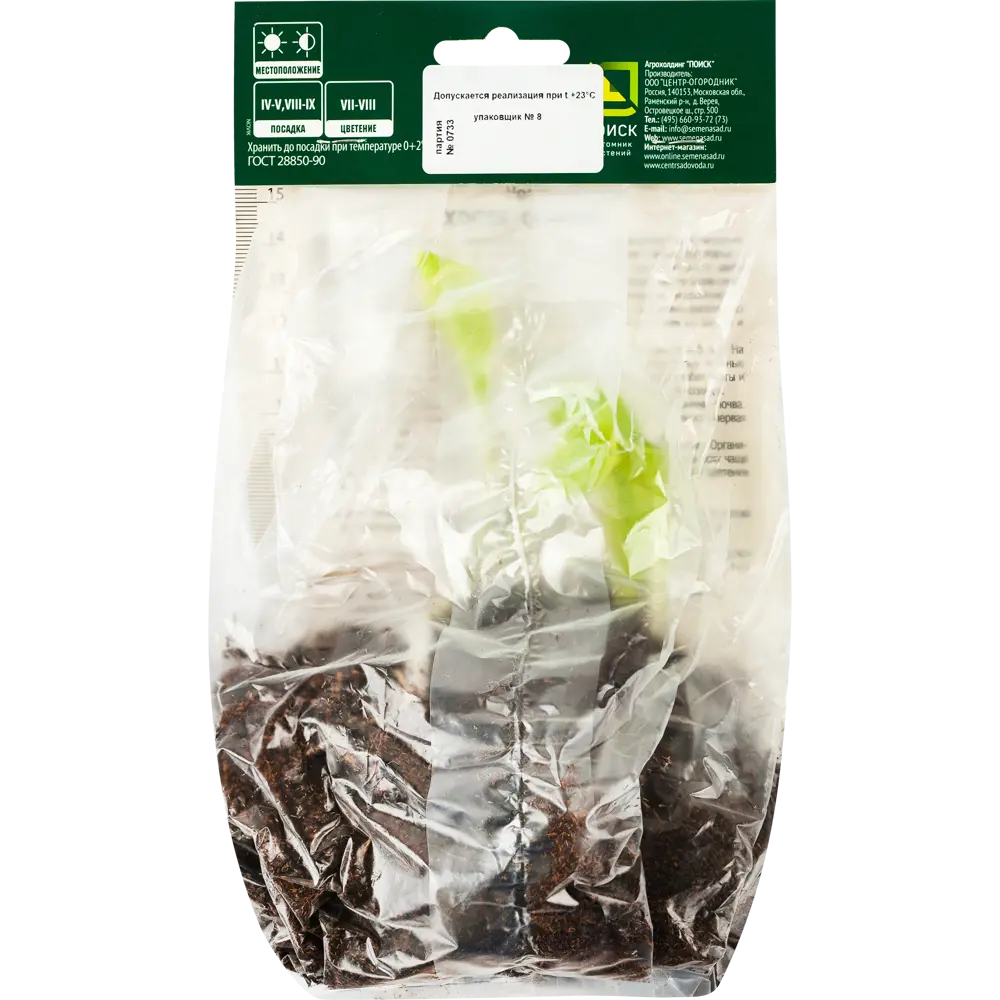 Santreyd Хоста «Альбомаргината» — изящное украшение тенистого сада 82118737 STLM-1513937 - Вид №2