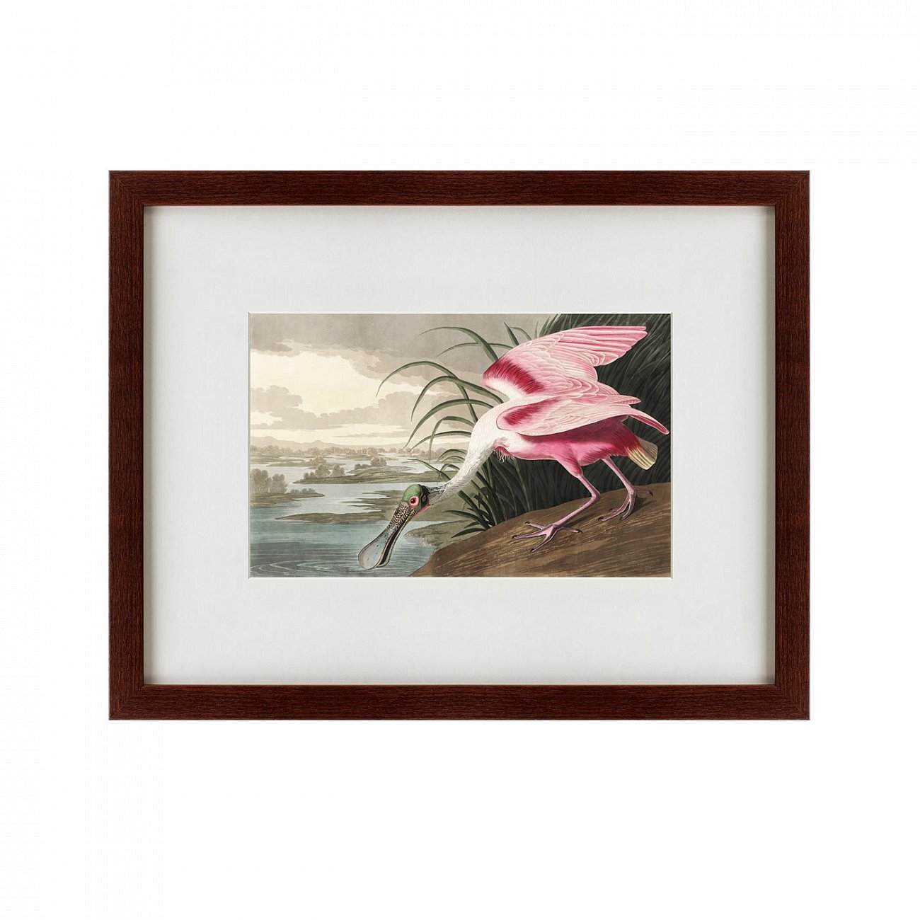 Литография на тонированной бумаге 47х60 см Roseate Spoonbill, 1827 КАРТИНЫ В КВАРТИРУ  191726 Белый;коричневый;разноцветный  - Вид №1