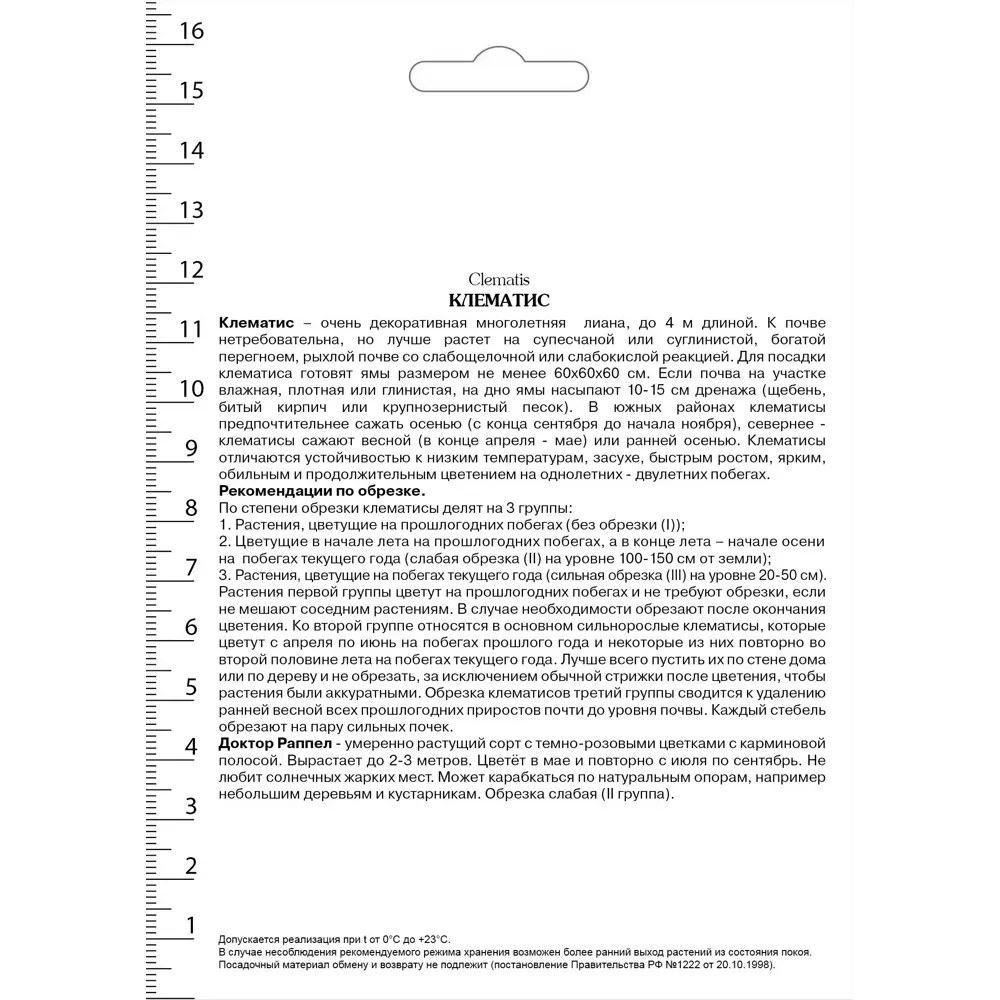 Клематис крупноцветковый Доктор Раппел в капере 82527531 STLM-2015096 Santreyd  - Вид №1