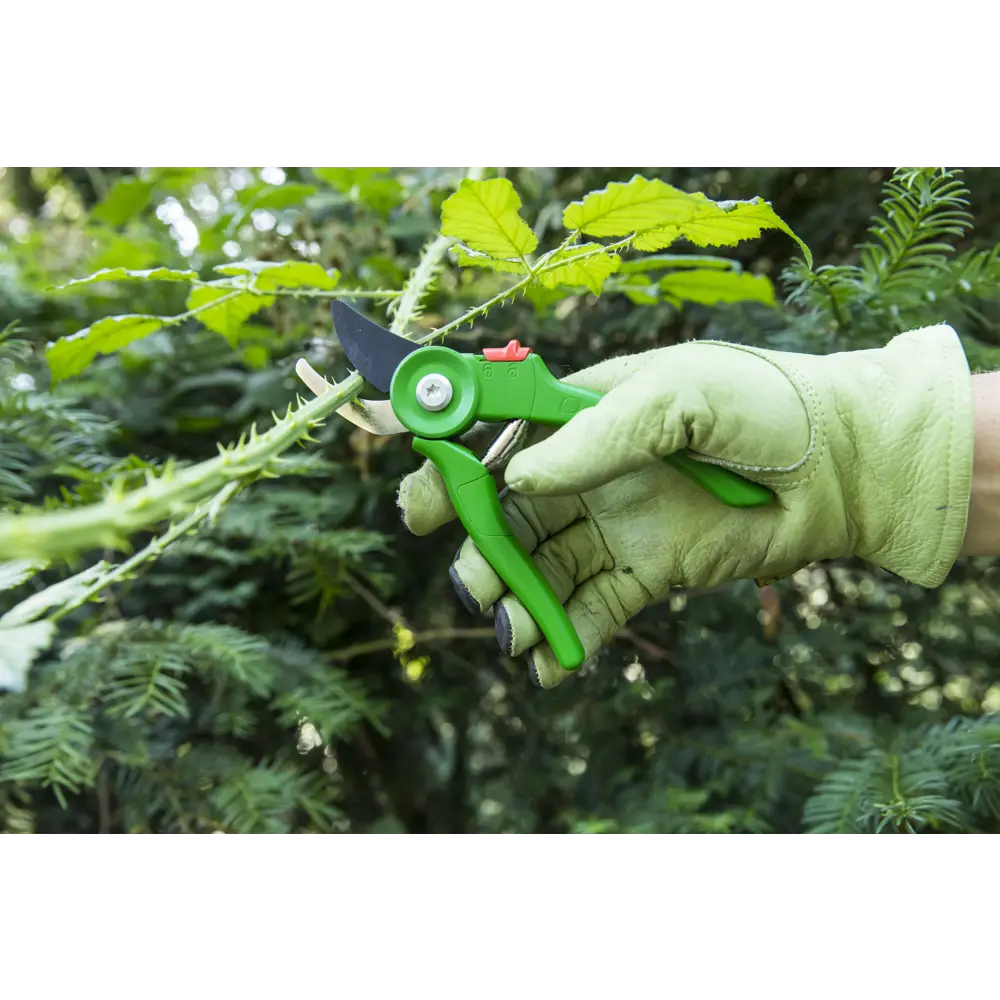 Секатор Geolia для точной обрезки ветвей 81966048 STLM-0015857 - Вид №10