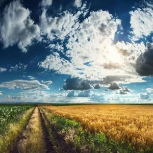 WP00854 Фотообои Verol Фотообои decoline 1х1 м