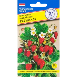 Семена Земляника альпийская «Регина» F1 82457176 STLM-2196901