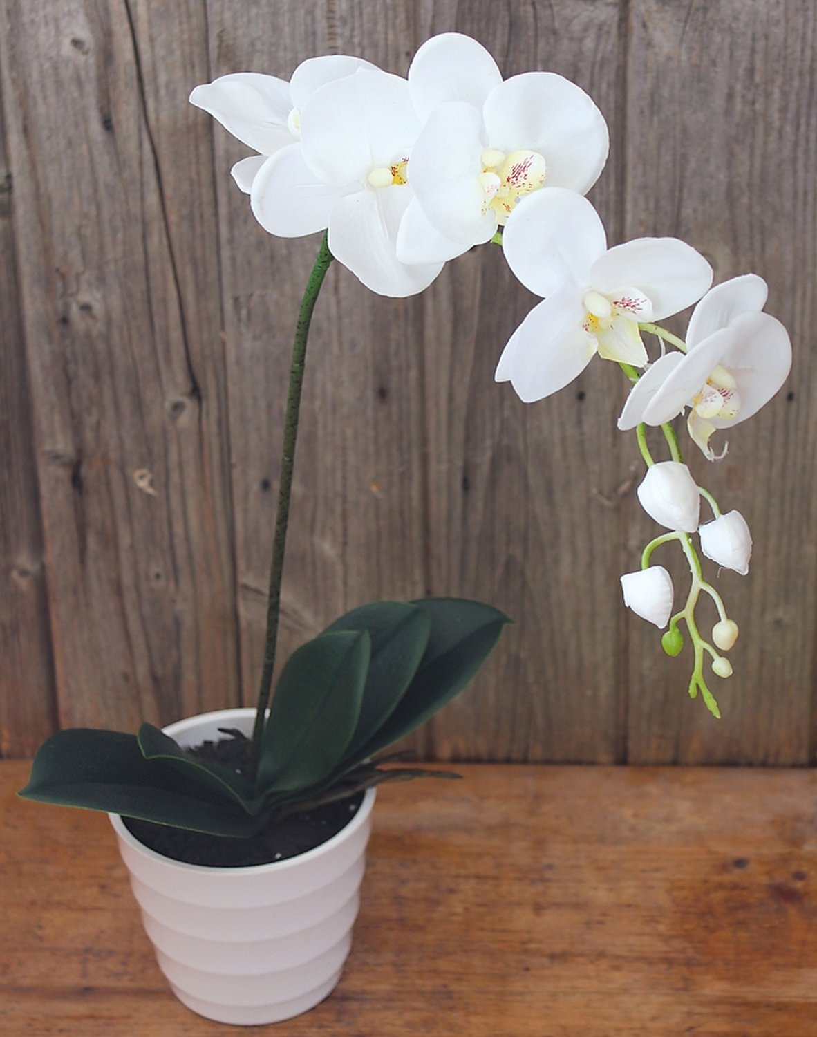 9701 778 a3 Пластиковая орхидея Phalaenopsis, горшечная, 56 см, real touch, бежево-белая H-andreas  - Вид №1