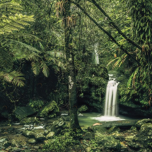 SH008-VD4-My-Hidden-Treasure Фотообои Komar Stefan Hefele 2.5х4 м SH008VD4MYHIDDENTREASURE