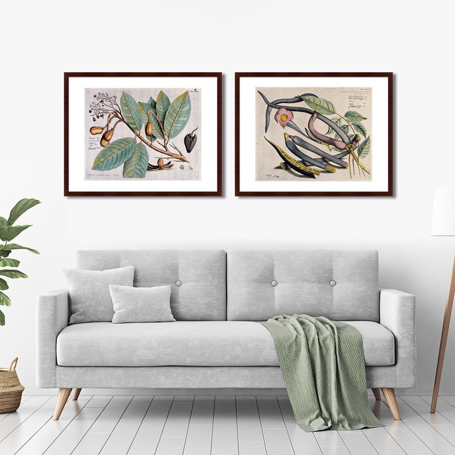 Картина: Exotic plants of the world №12, 1815г. КАРТИНЫ В КВАРТИРУ  264359 Разноцветный  - Вид №2