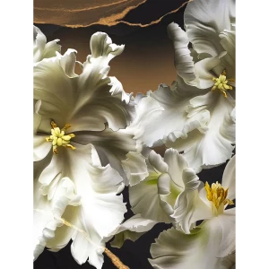 Картина на стекле Белые ирисы 2 60x80 см 85283012 STLM-2151709