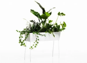 Offecct чашка O2asis