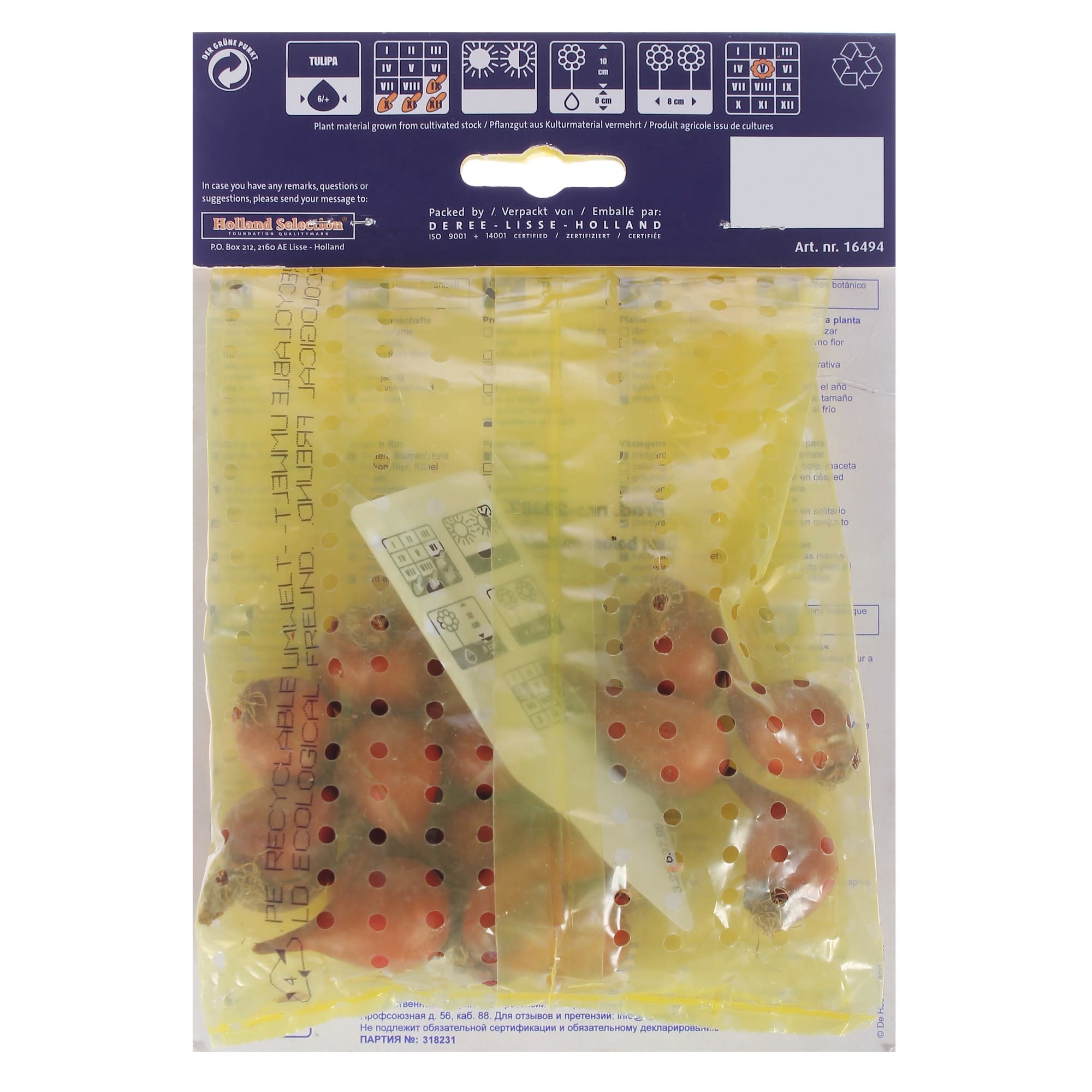 82004142 Тюльпан ботанический «Литл Бьюти» Santreyd  - Вид №1