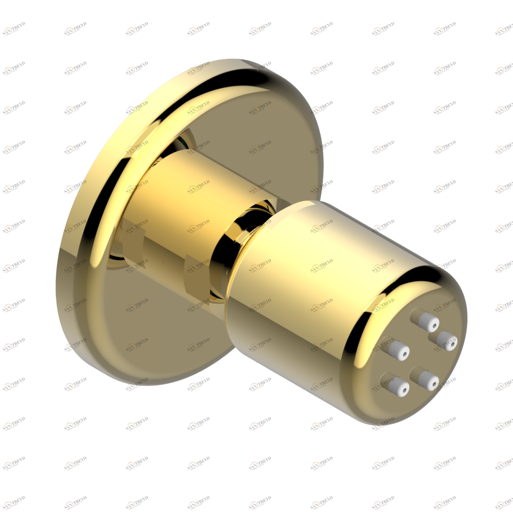 G7A-290/B Форсунка гидромассажная встраиваемая в стену 1/2" с защитой от жёсткой воды Thg-paris Beaubourg Золото G7A 290/B CAT.F