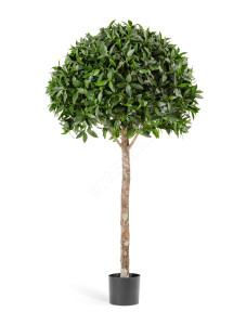 10.50006N Лавр шар Максима в-170 см, д-90 Цветочная коллекция