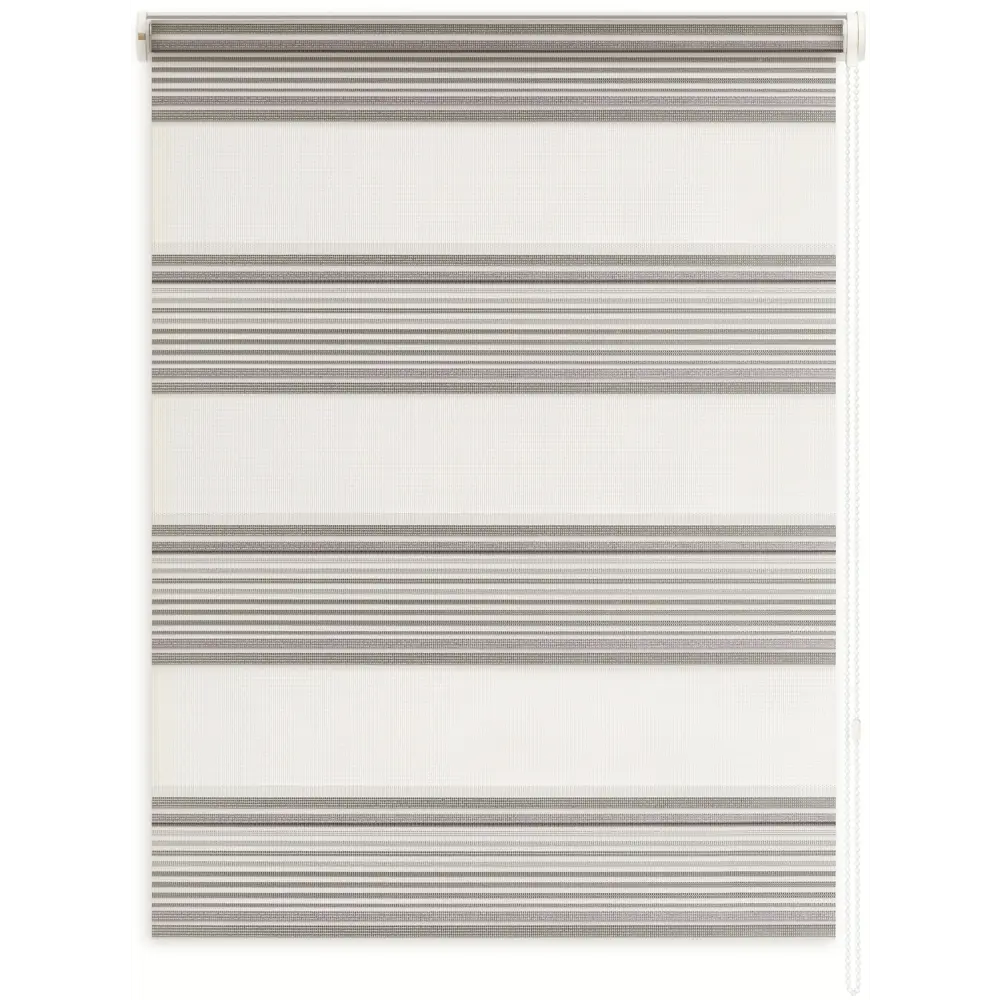 Штора рулонная день-ночь Miamoza 60x160 см серая Santreyd STLM-2158997