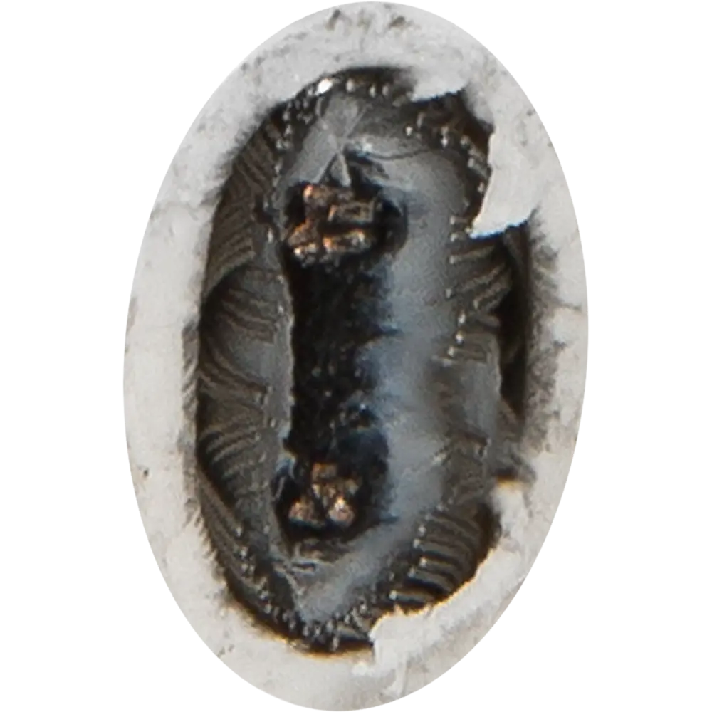 XLAYDER Саморегулирующийся греющий кабель для внутреннего обогрева труб 18863761 STLM-0013276 - Вид №3