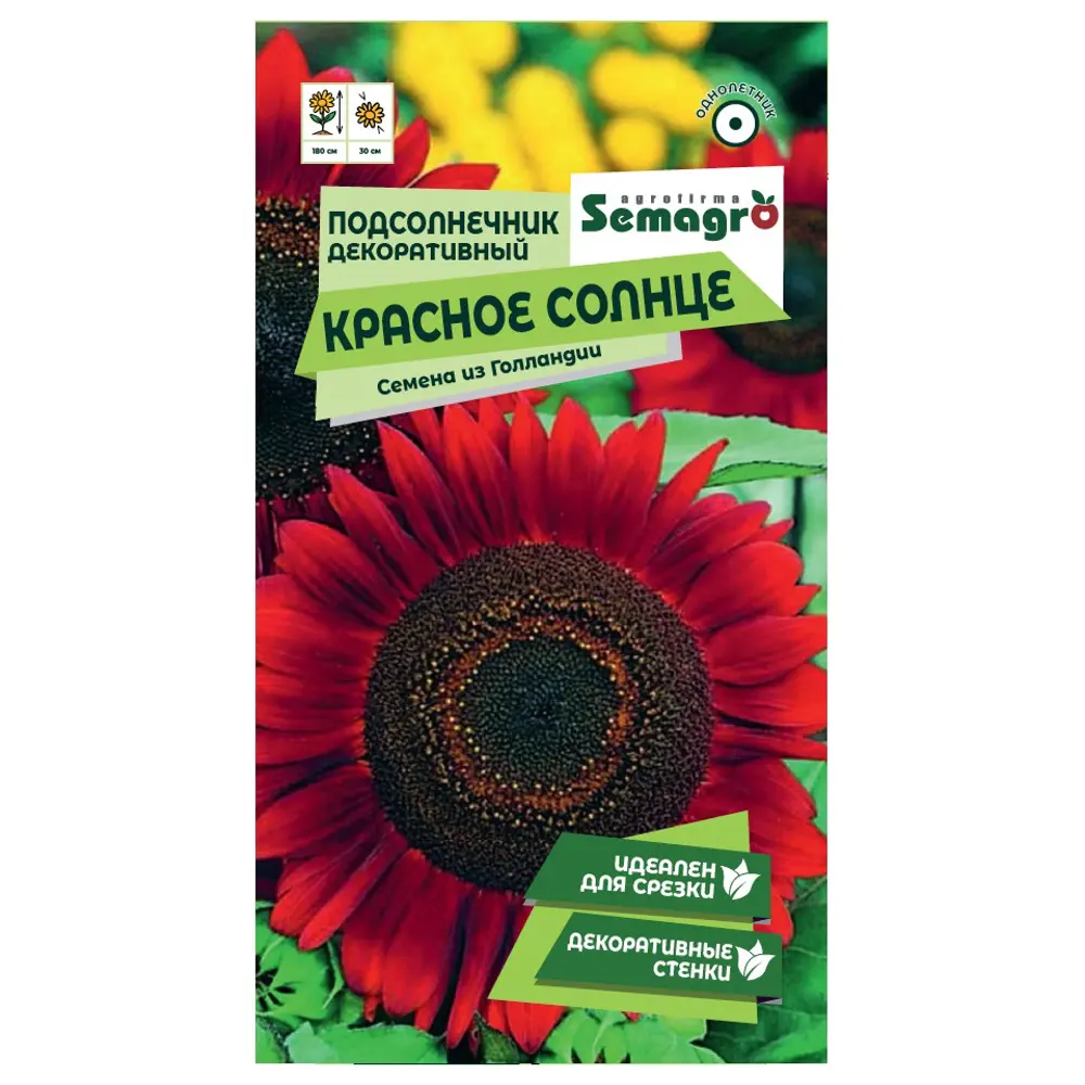 Семена цветов подсолнечник Красное солнце 89403779 STLM-2009759 Santreyd 