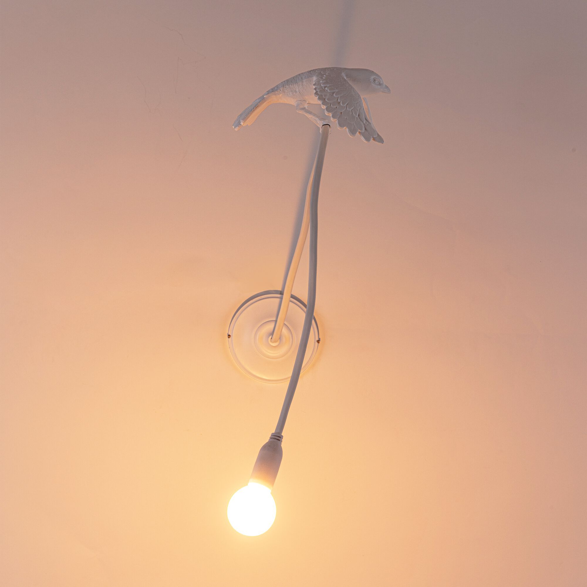 Светодиодный настенный светильник из смолы Seletti Sparrow Lamp ARCH-00018840 - Вид №6