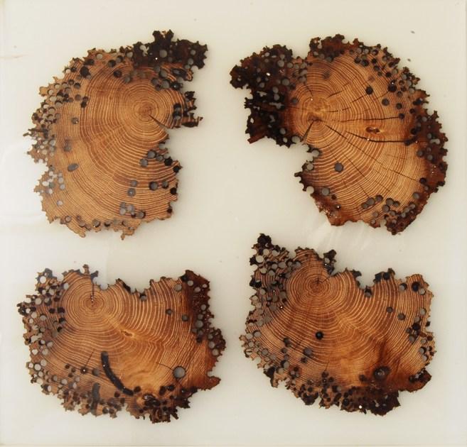 ANTICO TRENTINO Декоративная панель из дерева Briccola Briccole sun-id-1394614 - Вид №8