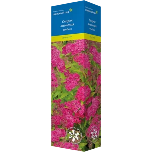 Спирея японская Северный сад Фробели 82527926 STLM-2120366
