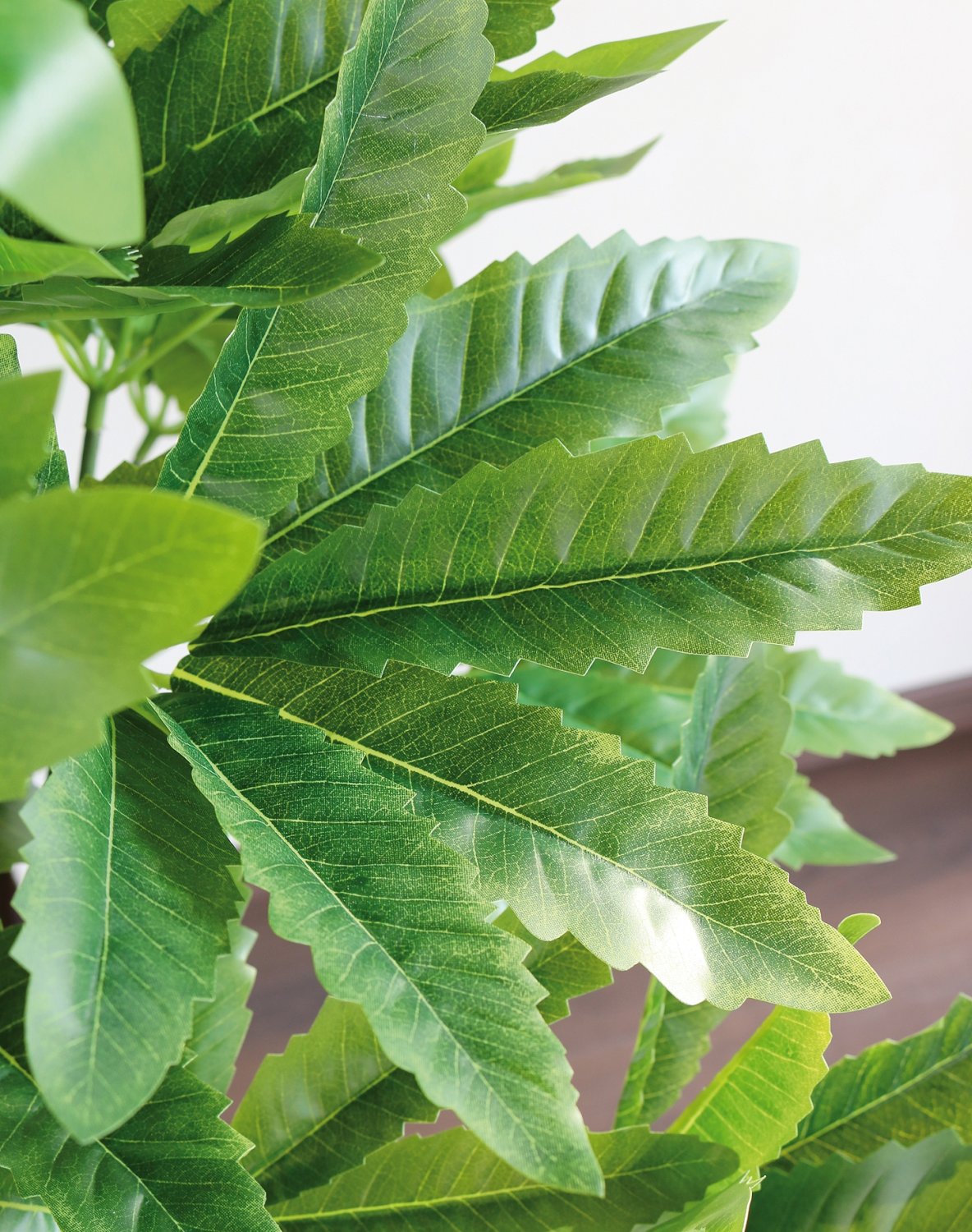 5481 883 a3 Искусственная шефлера, горшок, 160 см, зеленый H-andreas 