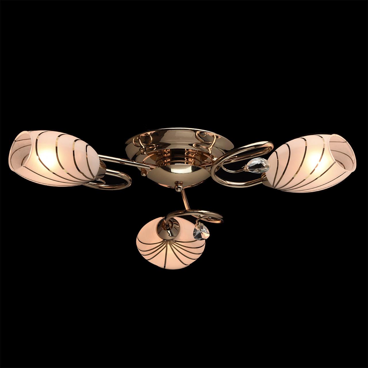 Потолочная люстра MW-Light Фиеста 267012803 MW-LIGHT ФИЕСТА 182725 Белый  - Вид №2