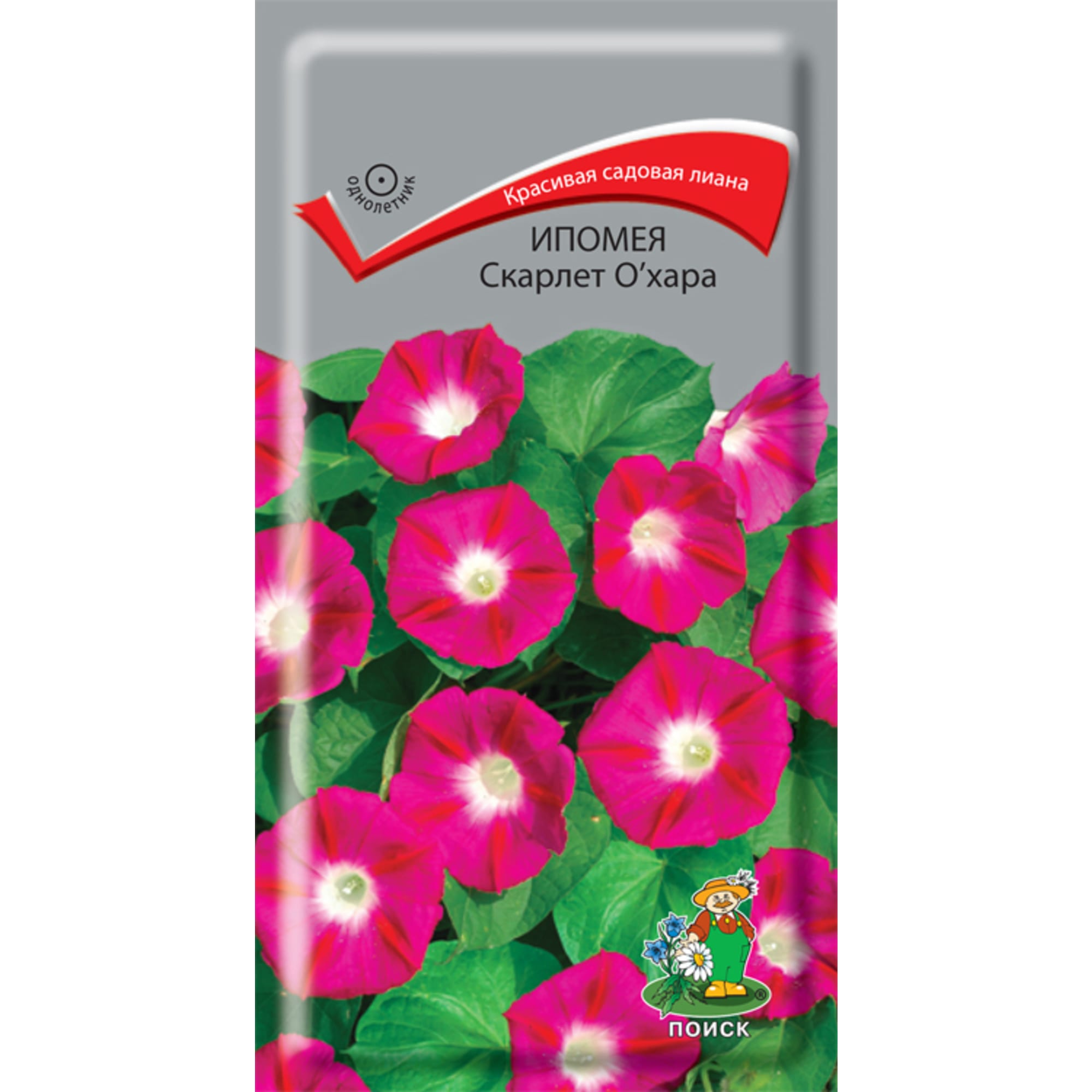 83227383 Семена Ипомея «Скарлетт О Хара» Santreyd 
