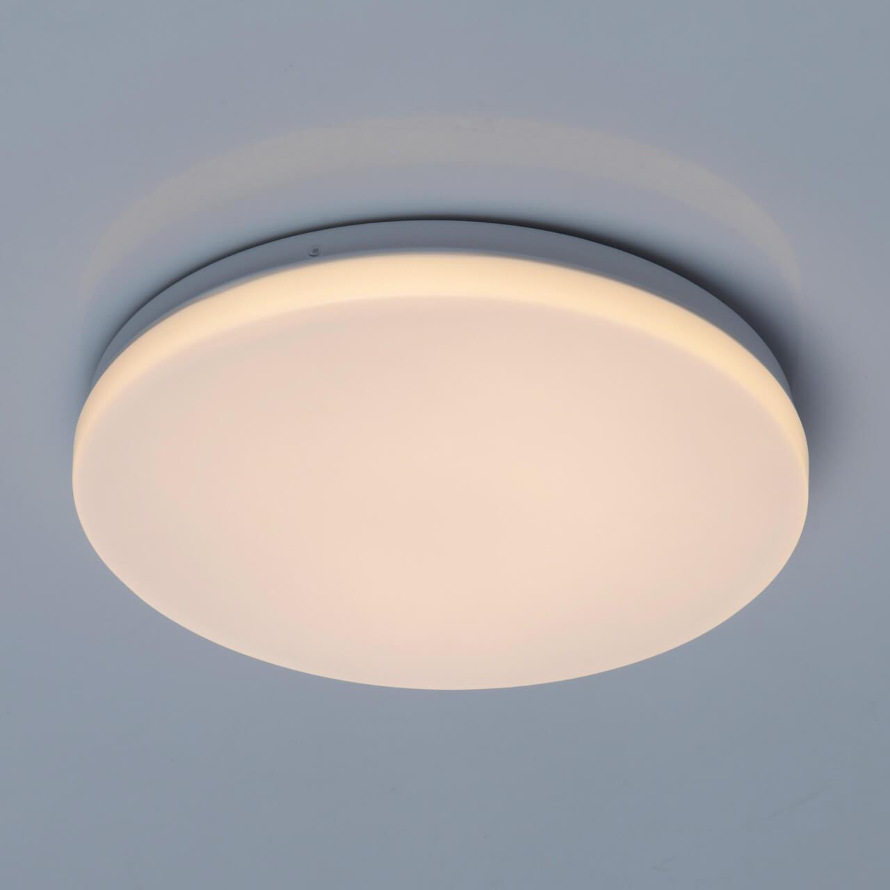 Потолочный светодиодный светильник De Markt Ривз 674017401 DE MARKT РИВЗ 223630 Белый  - Вид №3