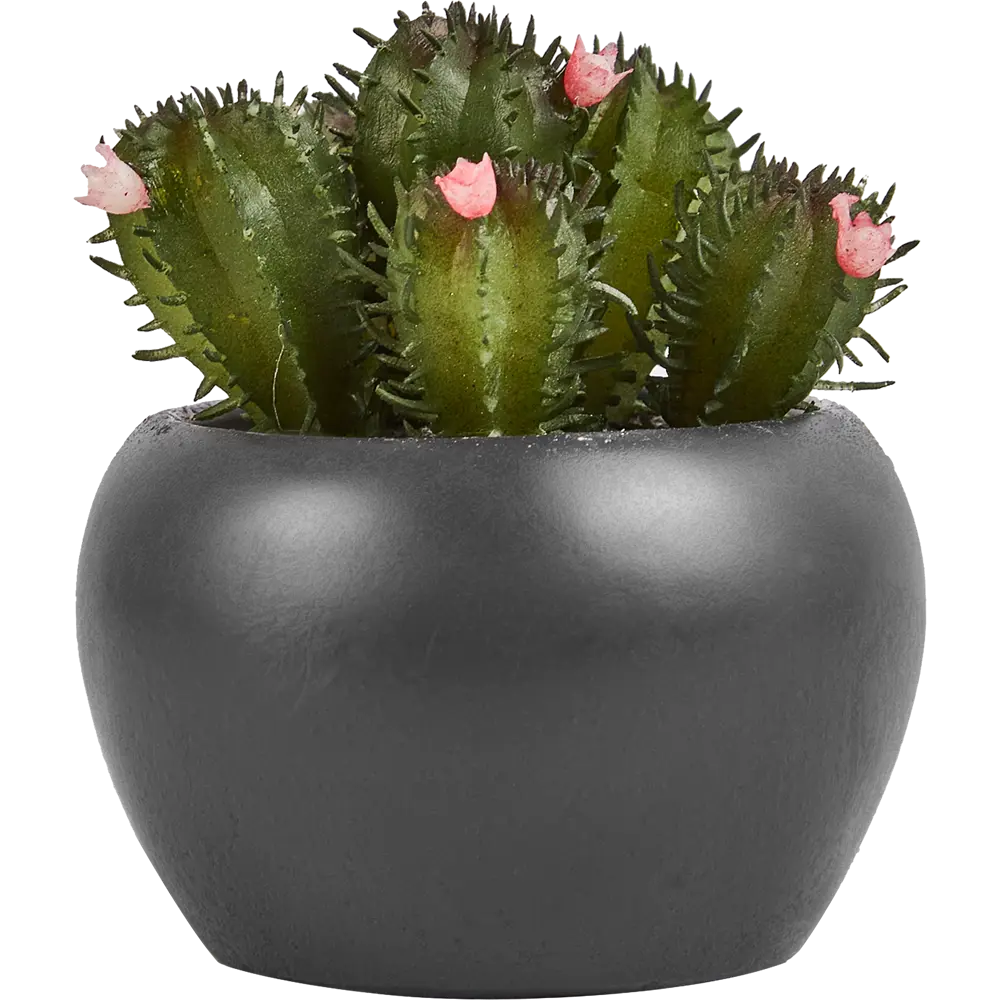 Искусственное растение в пластиковом горшке Atmosphera Кактус D6.3x11.5 см микс 87051746 STLM-2119665  - Вид №8