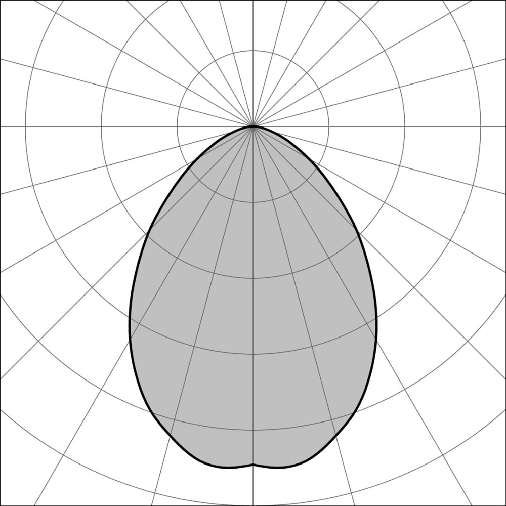 Drum 2C 1200 Ghidini Drum C .01 Белый (Матовый)  - Вид №5