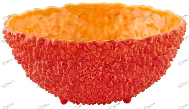 Vista Alegre Терракотовая чашка Amazónia 65026305 Amazonia