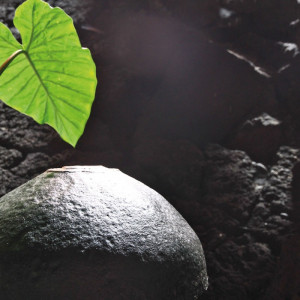 F132A/1248X120 Картина Мома Рамка 1248 Adriani e Rossi