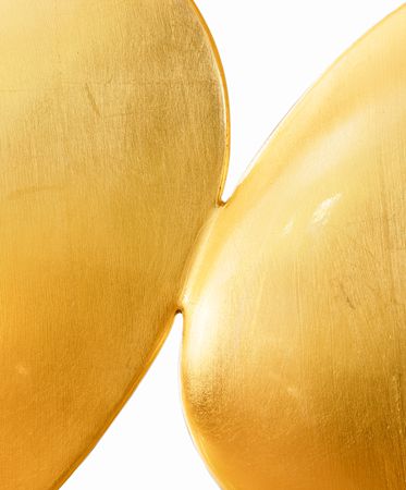 0-283 Золотая ширма Boca Do Lobo  - Вид №23