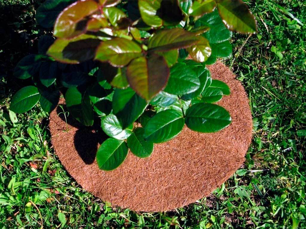 Круг приствольный Мульчаграм 40 см, комплект - 5шт ГеоПластБорд GPBST-248 - Вид №5