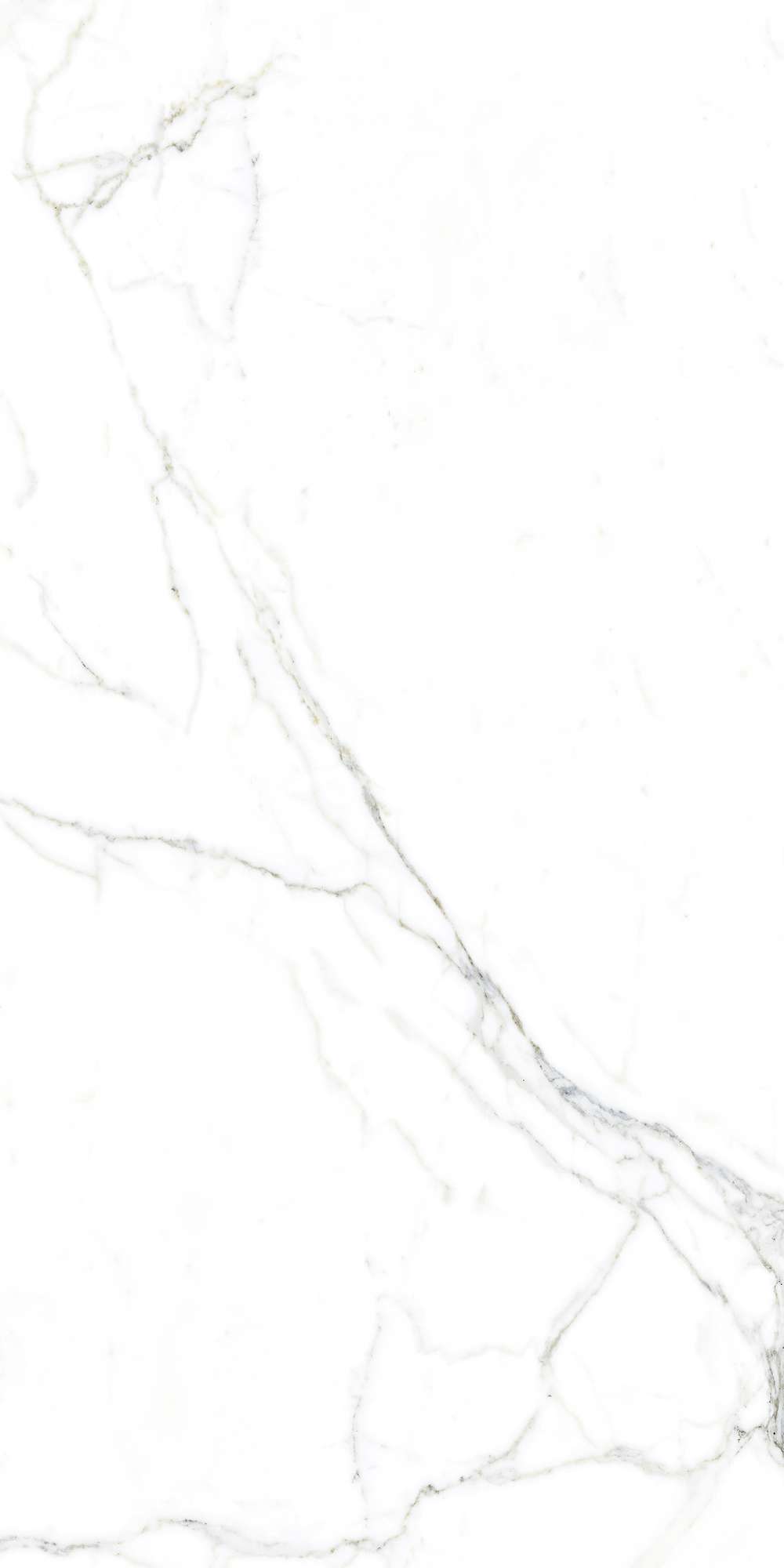 LUCE STATUARIO — Элегантность мрамора в вашем интерьере FP1002-A Arcadia Ceramica - Вид №4