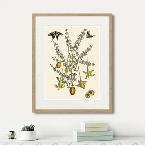 Картина: Juicy fruit lithography №1, 1870г. КАРТИНЫ В КВАРТИРУ  264440 Разноцветный