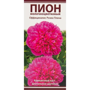 Пионы травян Оффициналис Розеа Плена 82530290 STLM-2206162