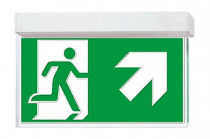 DST-2522 Virsc1608-p Daisalux Светильники сигнальные Белый