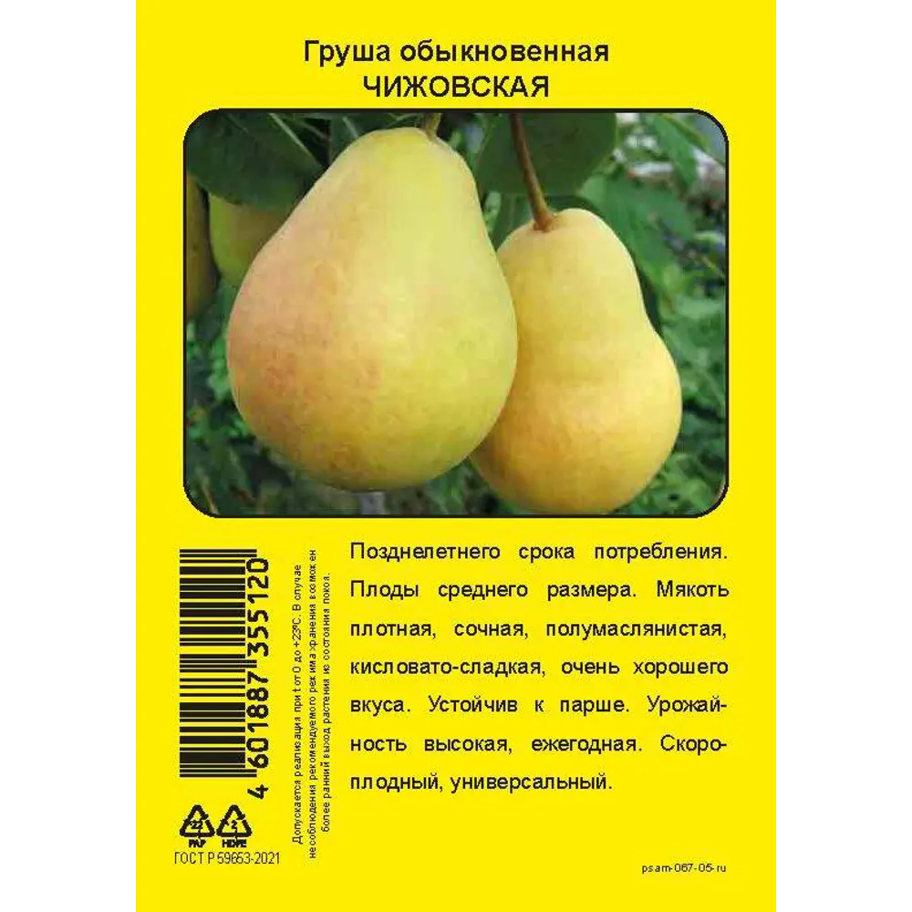 Груша Чижовская пакет h90 см 86544024 STLM-2169005 Santreyd 