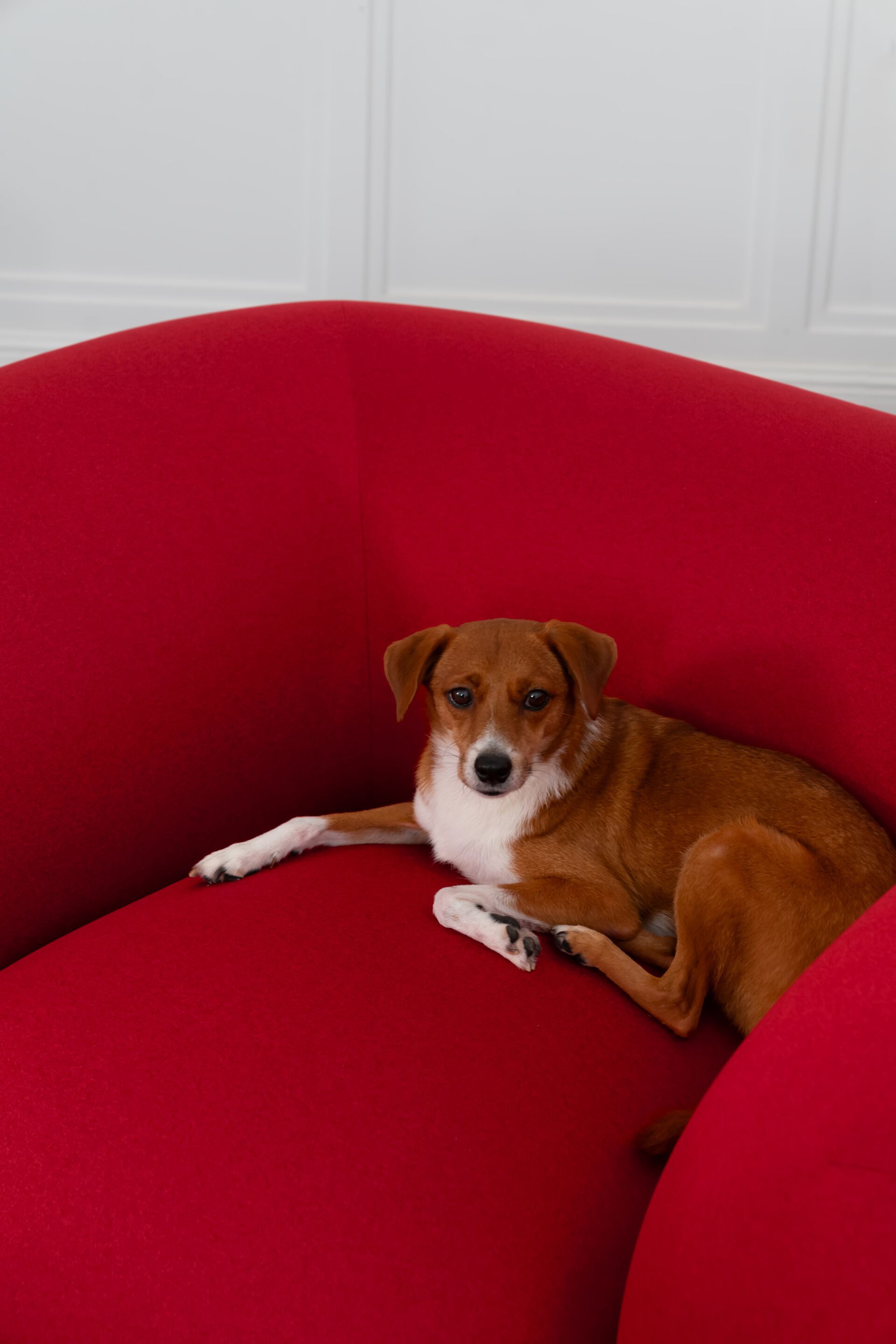 Тканевое кресло Established&Sons MOLLO ARCH-00109244 - Вид №5