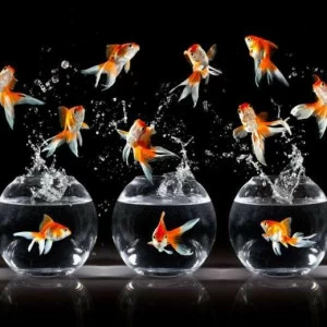 WP01767 Фотообои Verol Фотообои decoline 1х1 м