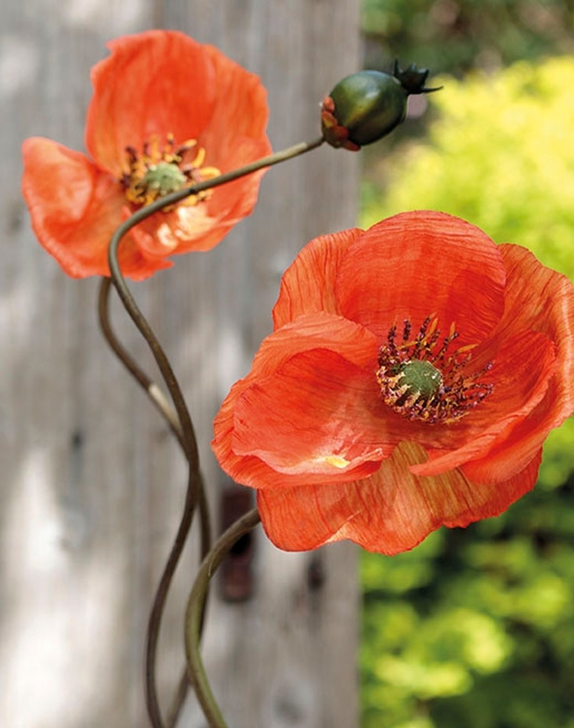 4562 334 a3 Пластиковые маки, 2 цветка, 1 бутон, 75 см, оранжевые H-andreas  - Вид №1