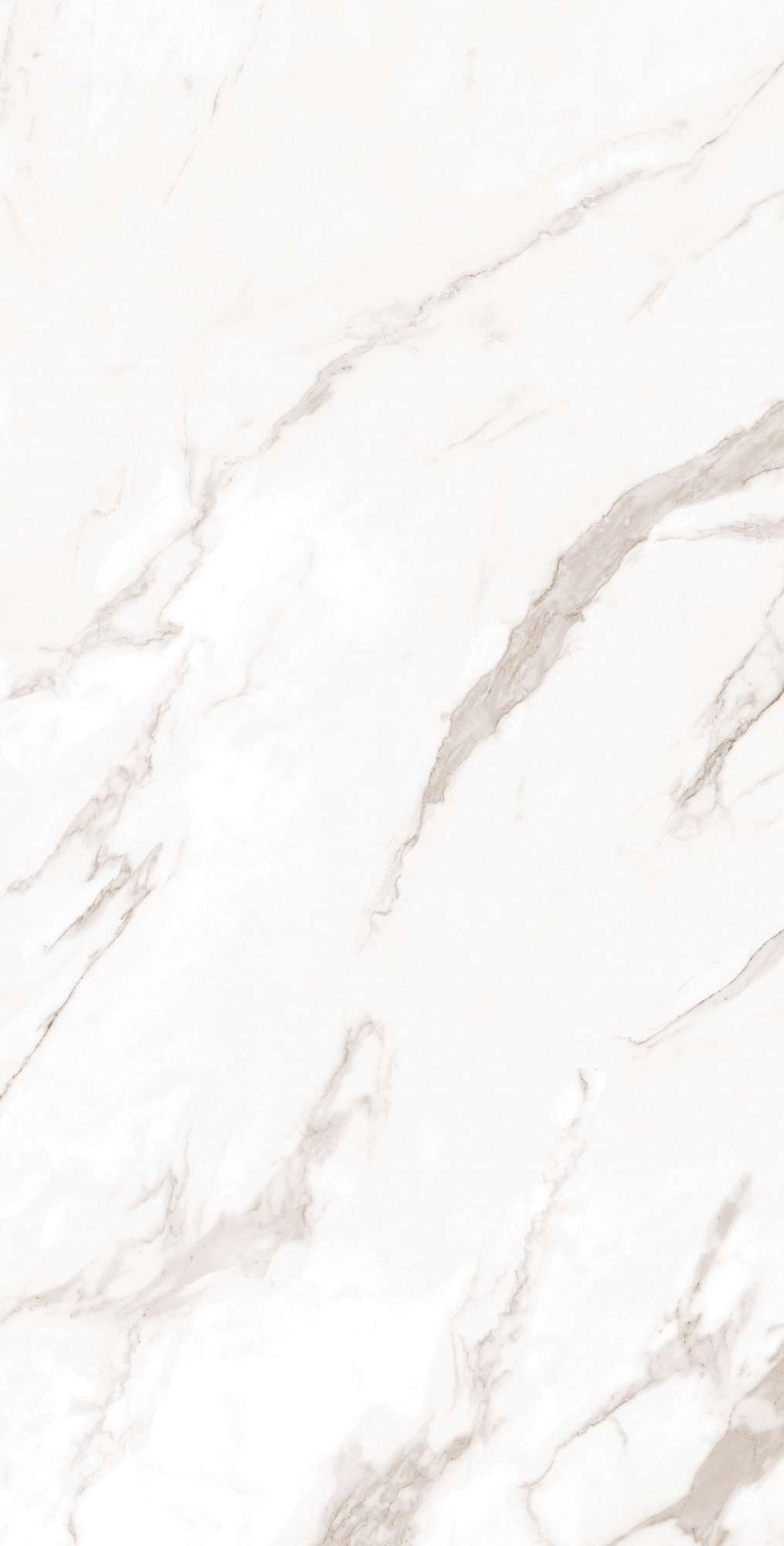 CALACATTA BIANCO — Элегантность мрамора в вашем интерьере FP1019-A Arcadia Ceramica - Вид №2